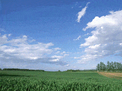 photoshop cs5 怎么制作两张图片切换的动态gif图像