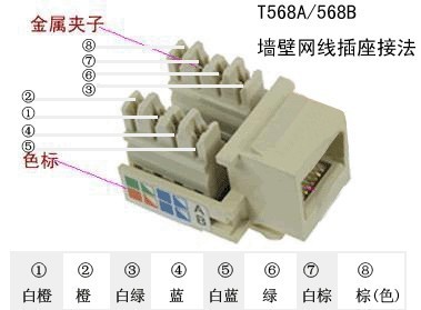 电脑网线插座